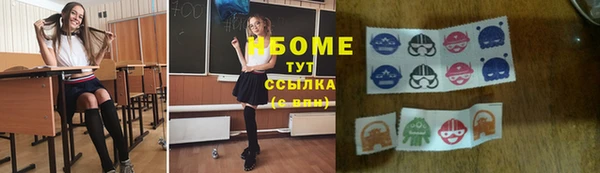 PSILOCYBIN Аркадак