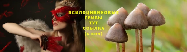 каннабис Арсеньев