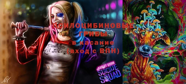 PSILOCYBIN Аркадак