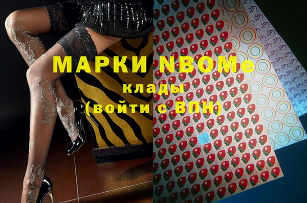 PSILOCYBIN Аркадак