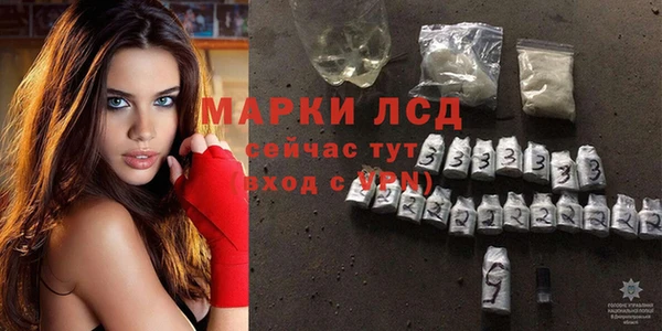 PSILOCYBIN Аркадак
